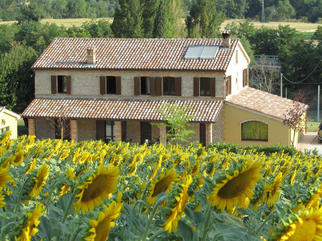 Agriturismo La Vecchia Fonte Guest House Castelbellino Luaran gambar